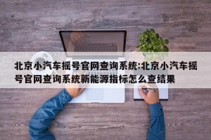 北京小汽车摇号官网查询系统:北京小汽车摇号官网查询系统新能源指标怎么查结果